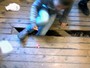 Aluna cai em buraco dentro de sala de escola estadual em Campinas
Aluna cai em buraco dentro de sala de escola estadual em Campinas
