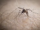 Reino Unido confirma 3 casos de zika; pacientes foram à América do Sul