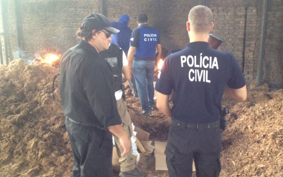 Drogas foram incineradas em Teixeira de Freitas, no extremo sul da Bahia (Foto: Divulgação / Polícia Civil)