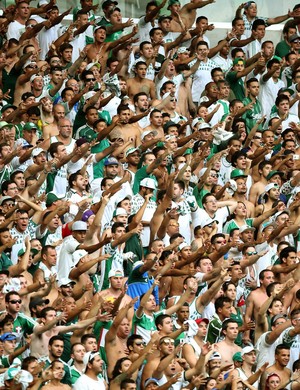 Palmeiras mantém crescimento com sócios-torcedores e supera rivais