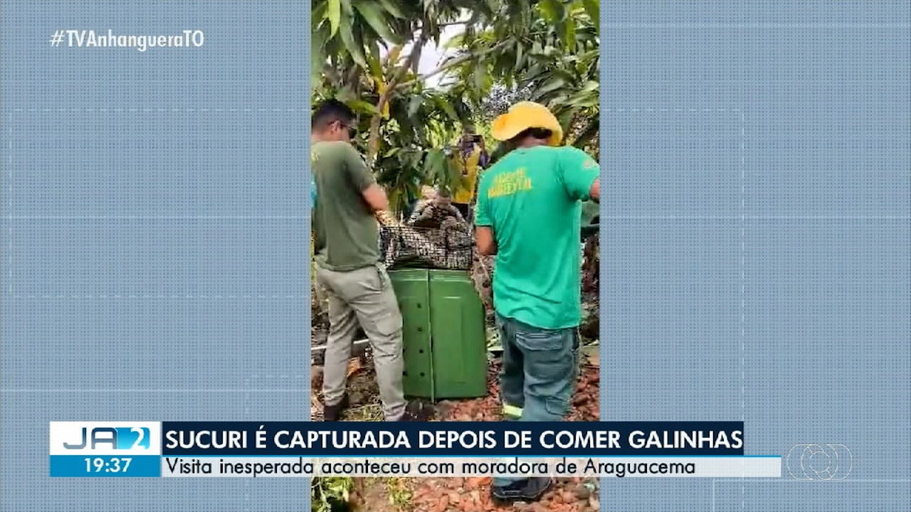 VÍDEOS: Jornal Anhanguera 2ª Edição-TO de quinta-feira, 6 de março de 2025