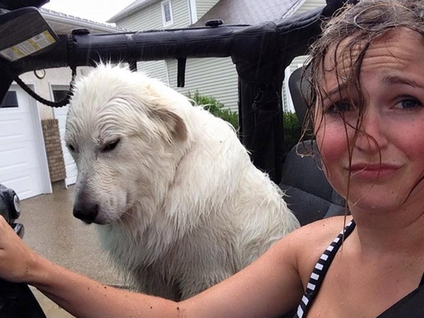 Cão e dona ‘chateados’ após chuva viram hit na web (Foto: Reprodução/Reddit/kabones)