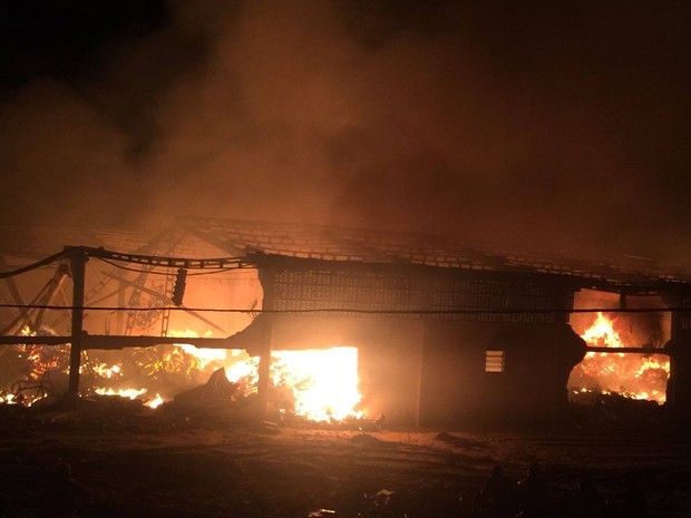Incêndio destruiu galpões e materiais da ONG, em Buíque (Foto: Reprodução/Facebook ONG Amigos do Bem)