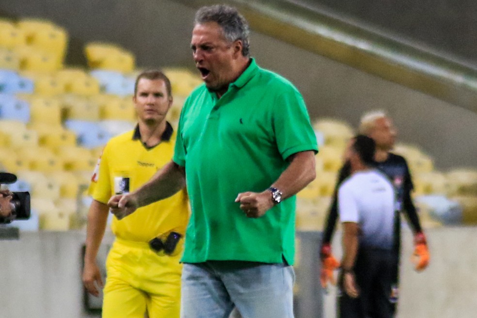 Abel Braga comemora gol do Fluminense sobre o Vitória (Foto: J Ricardo/Estadão Conteúdo)