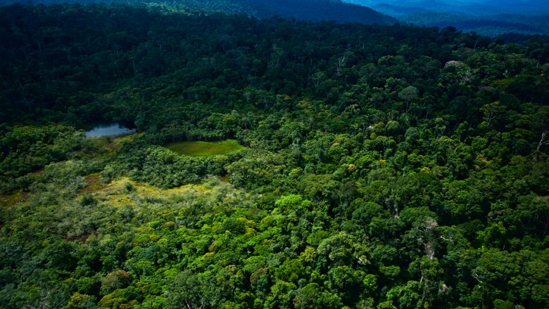floresta-amazonia-amazonica (Foto: Globo Rural)