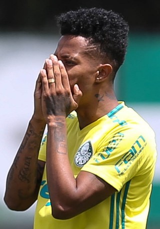 Em casa Palmeiras vê sequência decisiva na reta final do Brasileirão