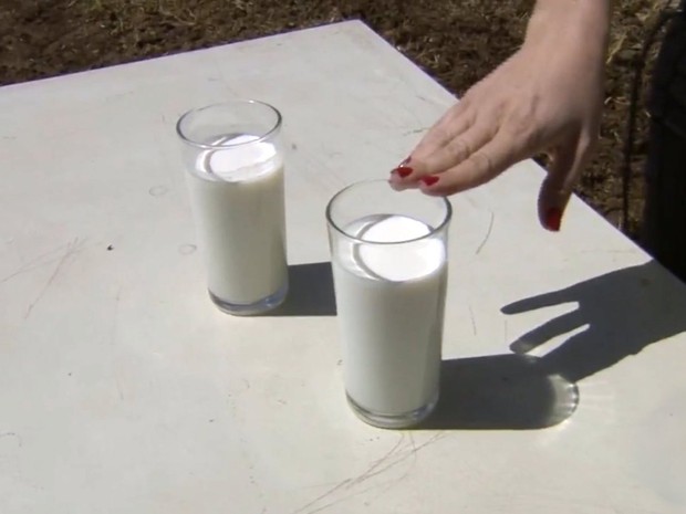 Instituto de Nova Odessa descobriu leite 'antialérgico' com cruzamentos de rebanhos (Foto: Reprodução/EPTV)