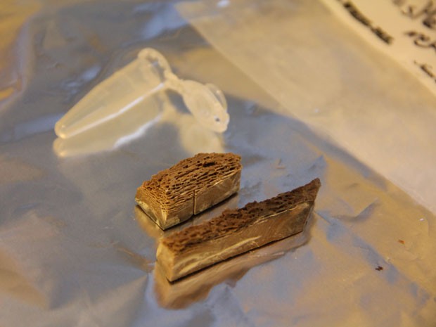 Duas peças de parte do fóssil de 700 mil anos que foram examinadas pelos cientistas (Foto: Divulgação/Ludovic Orlando)