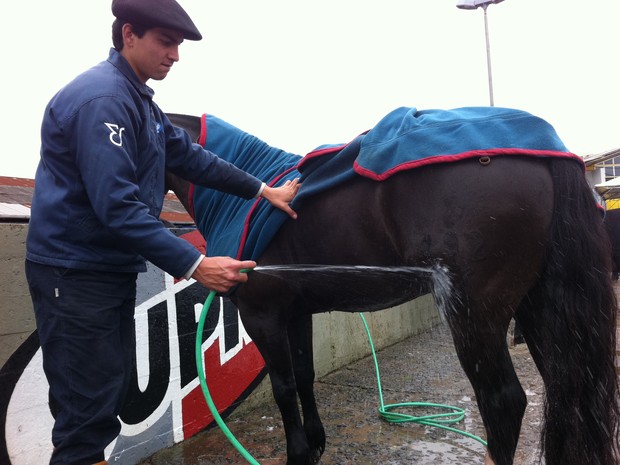 Peão dá banho de mangueira em cavalo  (Foto: Caetanno Freitas/G1)