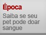 Saiba se seu pet pode doar sangue (Editoria de Arte/G1)