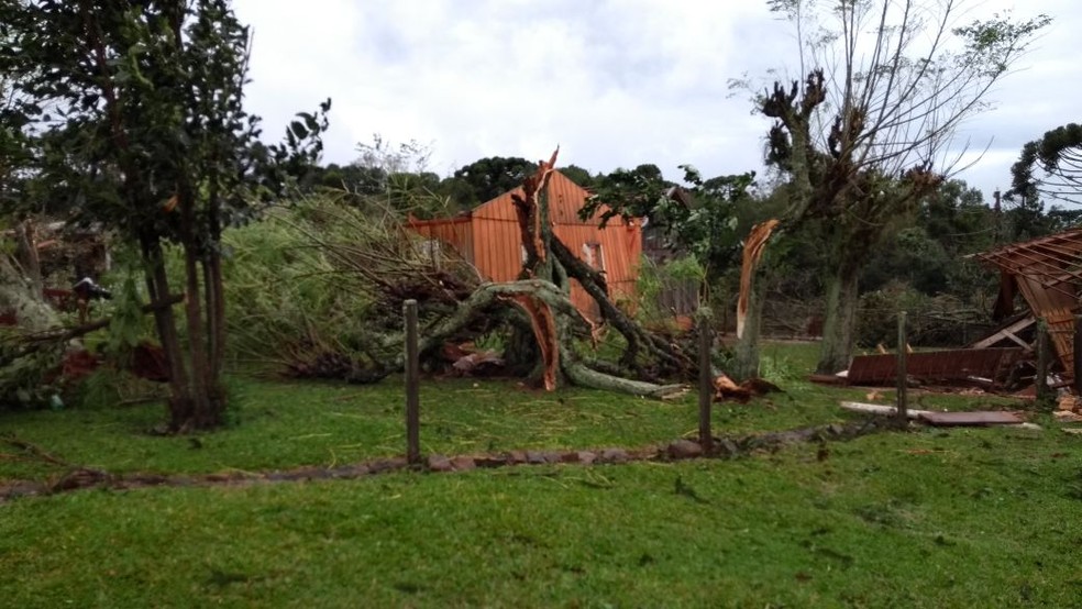 Ventania derruba árvores em Capão Bonito do Sul, no Norte do Rio Grande do Sul (Foto: Carlos Alberto/Arquivo pessoal)