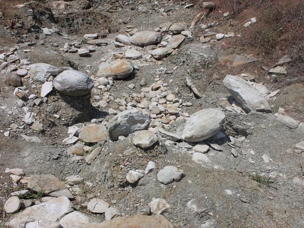 Local onde os fósseis foram encontrados em Exu, PE (Foto: Carol Souza /G1)