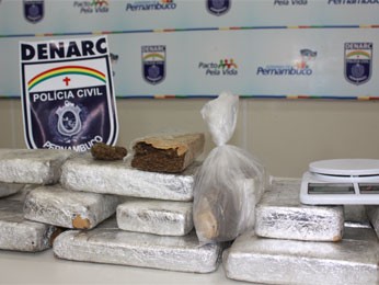 Cerca de 20 kg de maconha foram encontrados em Paulista, PE (Foto: Divulgação / Polícia Civil)