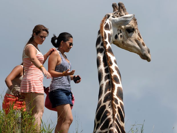 Visitantes observam girafa no zoológico Joya Grande, em Honduras (Foto: Orlando Sierra/AFP)