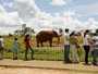 Com fim da greve dos vigilantes, Zoológico do DF reabre neste sábado