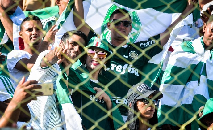 Palmeiras fecha mais um ano com grande perspectiva