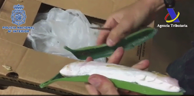 Polícia acha 171 kg de cocaína dentro de bananas falsas na Espanha (Foto: Policia Nacional de España/Twitter)
