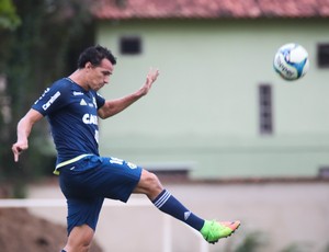 Leandro Damião marcou três gols pela Taça Rio na semana passada (Foto: Gilvan de Souza/ Flamengo) Leandro Damião marcou três gols pela Taça Rio na semana passada (Foto: Gilvan de Souza/ Flamengo)