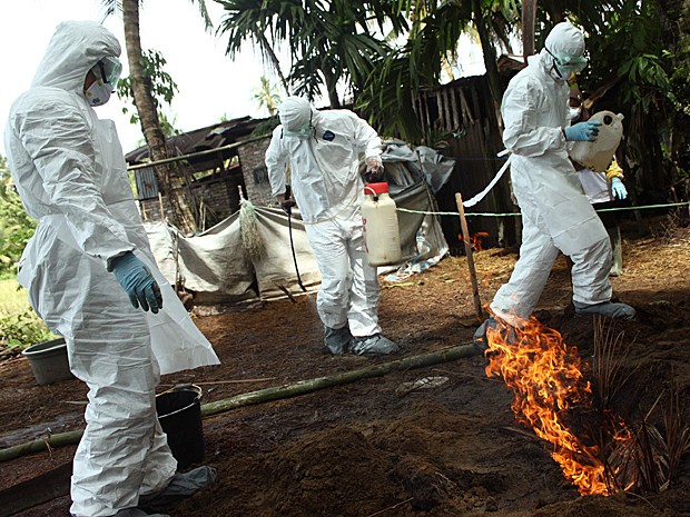 Autoridades de saúde da Indonésia matam patos contaminados pela gripe aviária (Foto: Rivo Andries/AP)