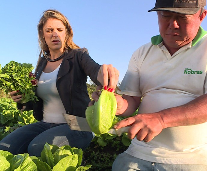 Rafa Brites se diverte em uma plantação de alface (Foto: TV Globo)