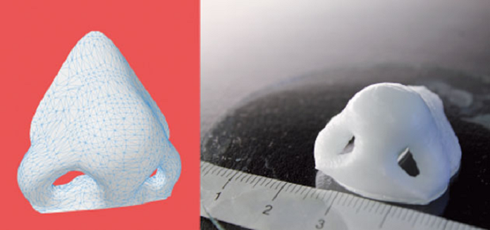 Cartilagem pode ser feita com impressão 3D e ajudar em tratamentos (Foto: Divulgação)