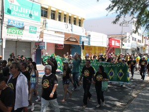 Bandeira do Brasil foi usada por manifestantes (Foto: Amanda Franco/ G1)