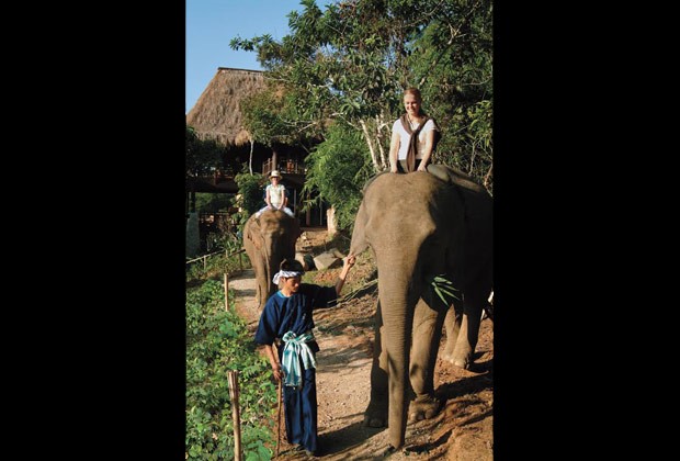 Turista passeia em lombo de elefante no Four Seasons Tented Camp, na Tailândia (Foto: Divulgação)