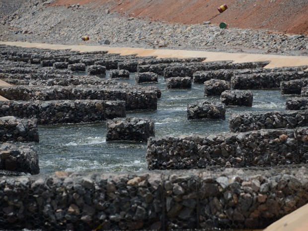 Obras da usina: milhares de peixes estão sendo retirados do Rio Xingu (Foto: Divulgação/ Norte Energia)