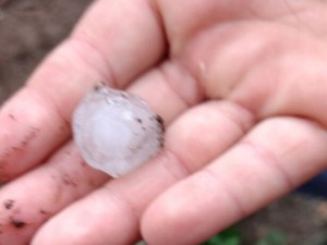 Granizo foi verificado em São Joaquim na segunda (Foto: Defesa Civil/ Divulgação) Granizo foi verificado em São Joaquim na segunda (Foto: Defesa Civil/ Divulgação)