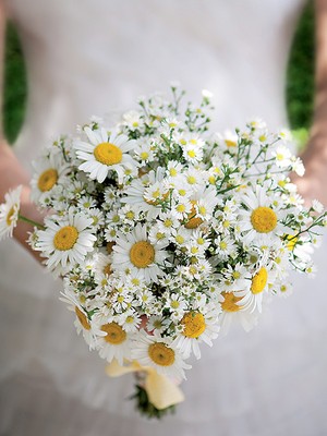 A florista Ana Malta sugere um buquê com margaridas e ásters, com jeitinho de ramalhete apanhado no campo (Foto: Iara Venanzi/Editora Globo)