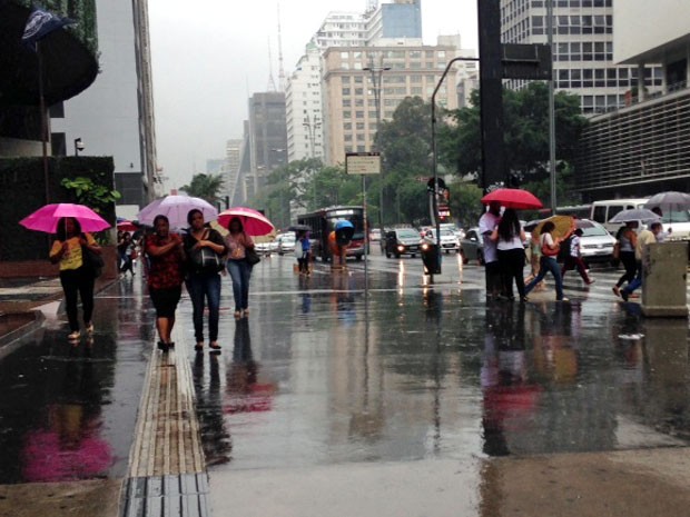 Pedestres se protegem da chuva na Avenida Paulista, em São Paulo (Foto: Olívia Florência/G1)