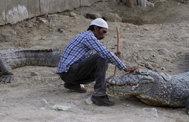 Um paquistanês foi fotografado enquanto fazia 'carinhos' na cabeça de um crocodilo no santuário de Manghopir Sufi, próximo a Karachi, no Paquistão (Foto: Athar Hussain/Reuters)
