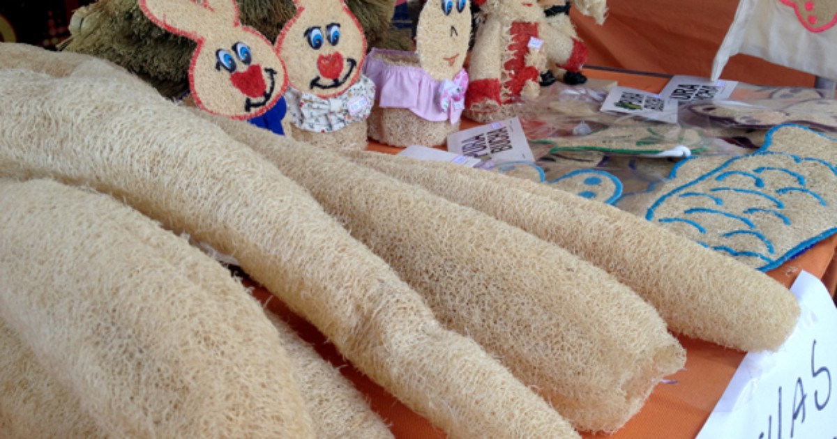 G1 Assentados divulgam produtos e buscam renda extra na Fepaq notícias em Presidente Sonha Artesanato Sorocaba ~ G1 Assentados divulgam produtos e buscam renda extra na Fepaq notícias em Presidente