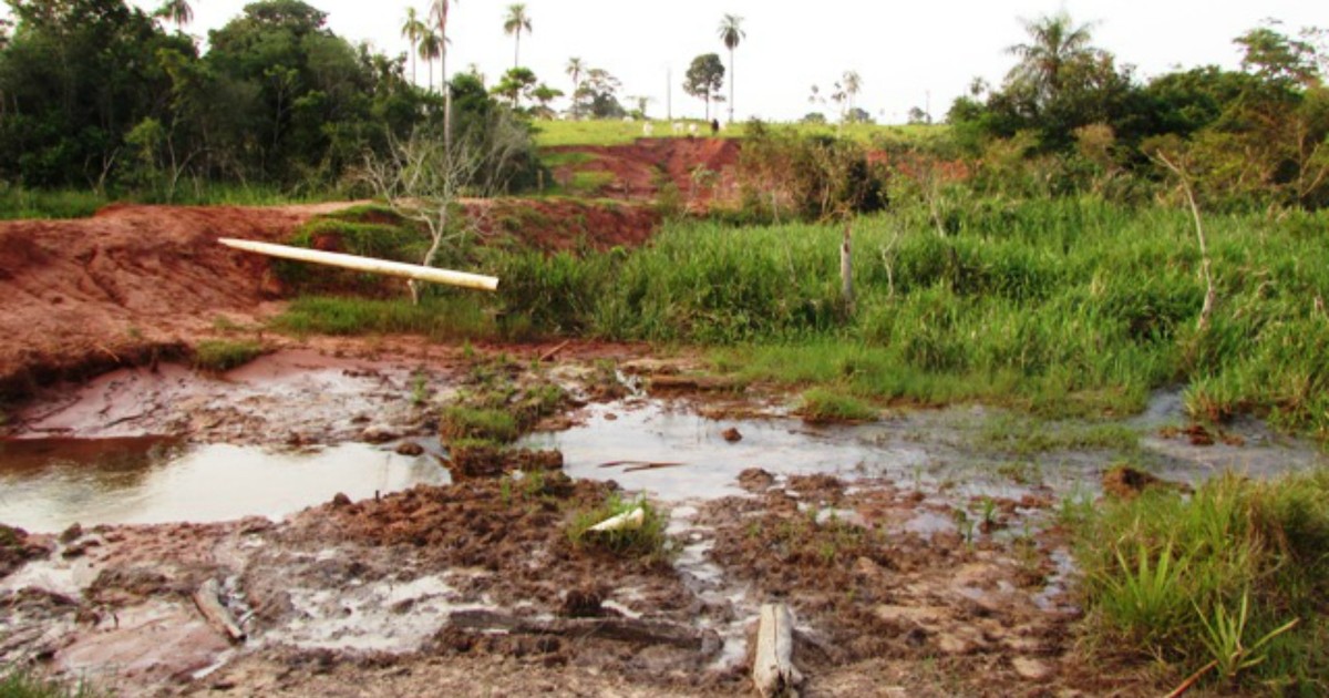 G1 Fazendeiro é multado em R 127 2 mil por destruir matas ciliares