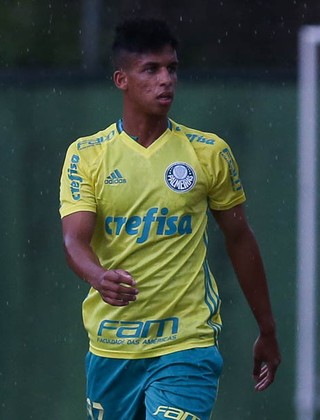 Vitinho Palmeiras (Foto: Cesar Greco / Ag. Palmeiras / Divulgação)
