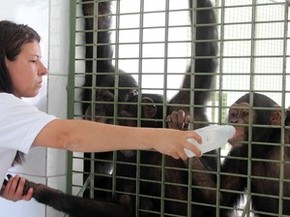 Santuário de primatas em Sorocaba (Foto: Geraldo Jr./G1)