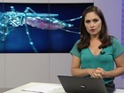 ES tem quase 3 mil notificações de contaminação pelo vírus da zika