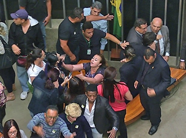 Manifestantes invadem plenário da Câmara  (Foto: Reprodução/TV Câmara)