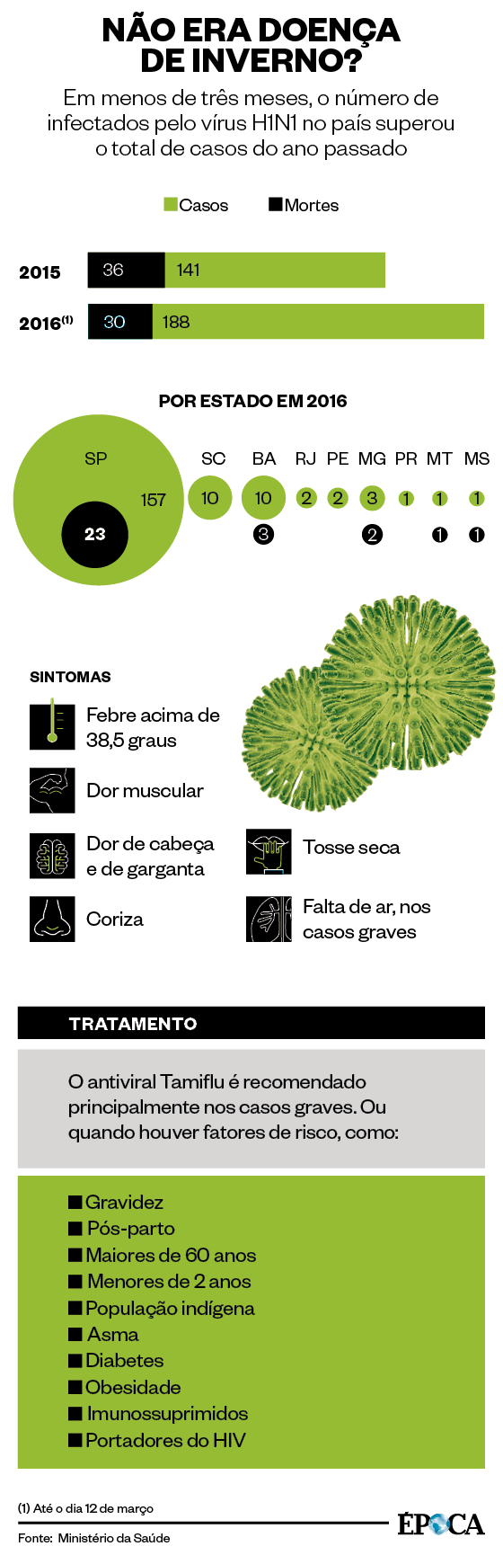 Surto de H1N1: não era doença de inverno? (Foto:  )