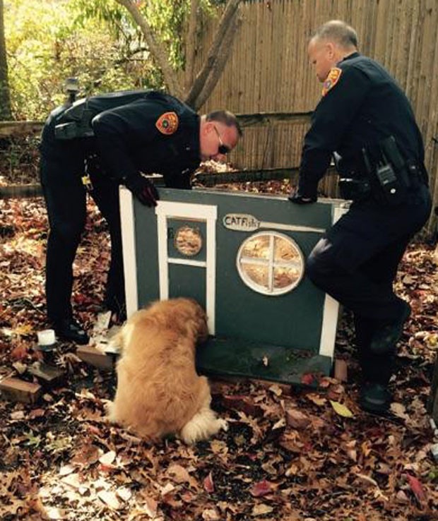 Cão foi resgatado após ficar com a cabeça entalada em casinha para gatos (Foto: Suffolk County Police Department/AP)
