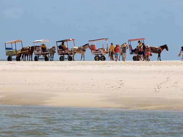 Carroças trilham a faixa de areia de Algodoal (Foto: Agência Pará)