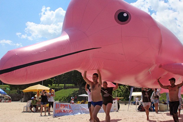 “O maior boto do mundo” é um inflável de 12 metros que foi levado à praia da Ponta Negra, em Manaus, neste último fim-de-semana. (Foto: Ampa)