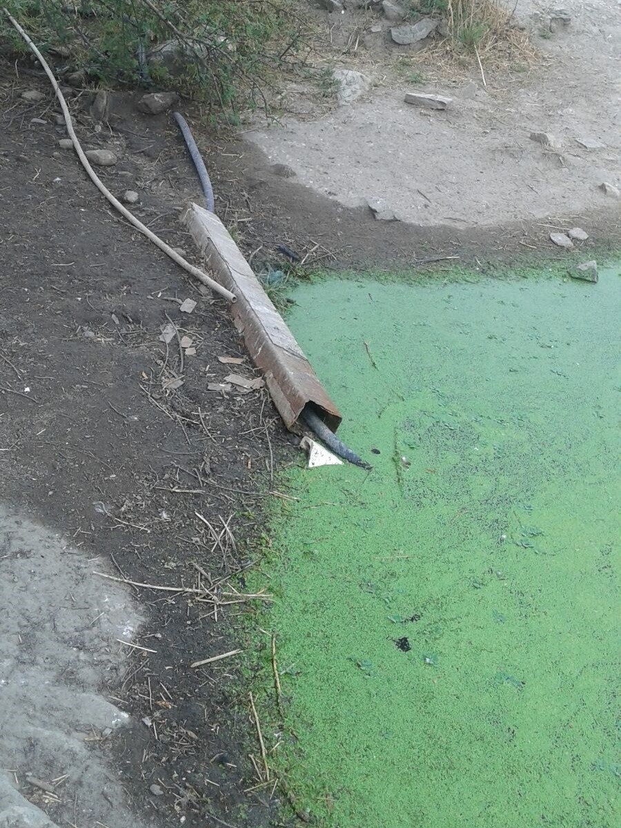 Água era desviada para o barreiro de um vereador, em Vertentes (Foto: Divulgação/ Compesa)