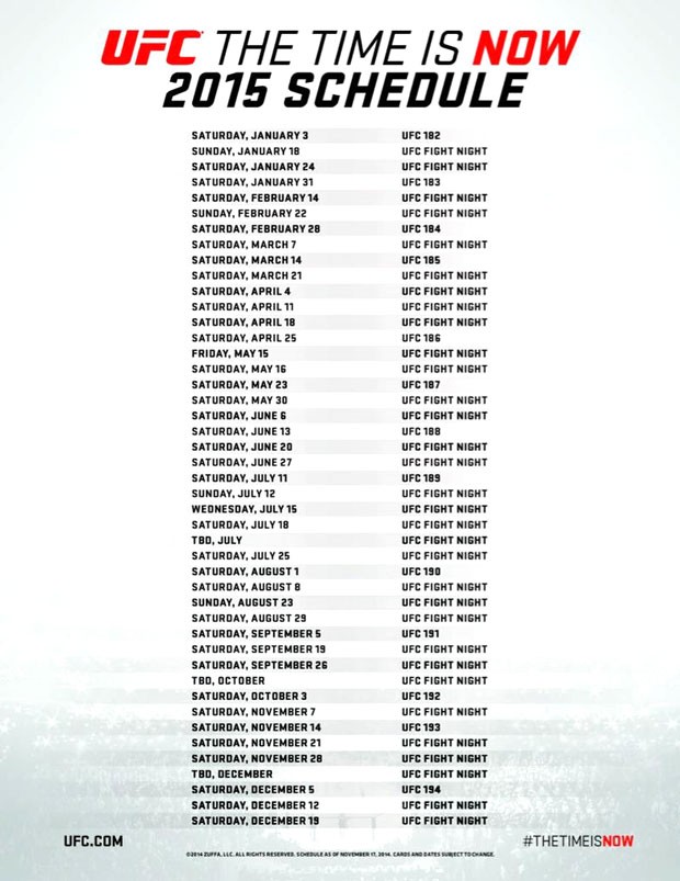 Calendário UFC 2015 (Foto: Reprodução / Twitter)
