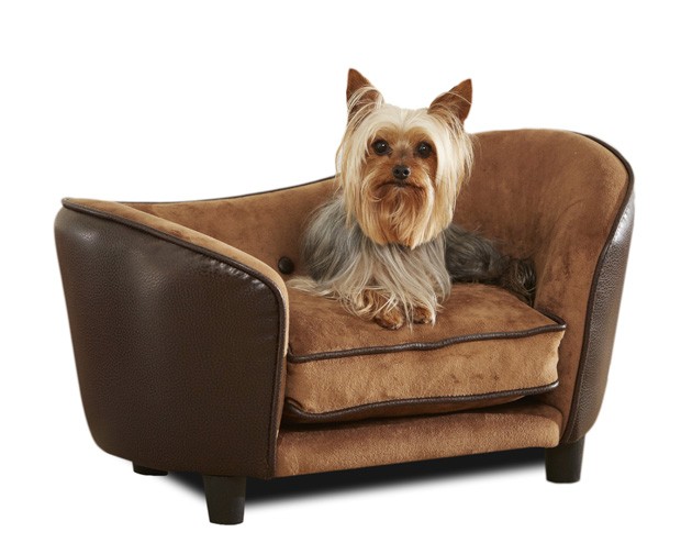 Cão é fotografado em sofá especial feito exclusivamente para animais (Foto: Enchanted Home Pet, Q10 Products LLC/AP)