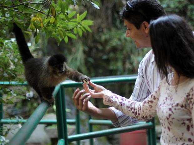 Animais atraem na Fonte dos Amores (Foto: Filipe Martins/ G1)