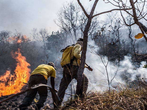 Brigadistas combatem incêndio em Chapada dos Guimarães (Foto: Mayke Toscano/GCOM-MT)