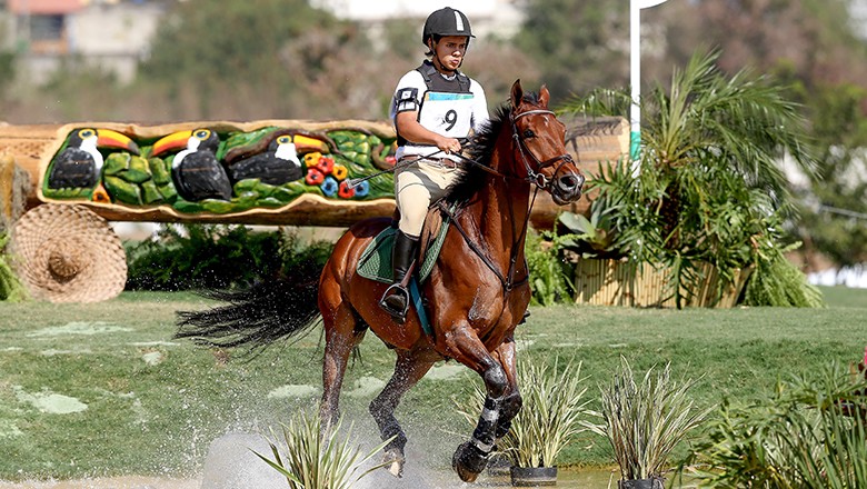 esportes equestres, hipismo, hipismo, cavalo com jóquei saltando