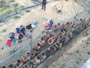 Detentos realizaram rebelião em Garanhuns (Foto: Francisco Dirceu/MPPE)