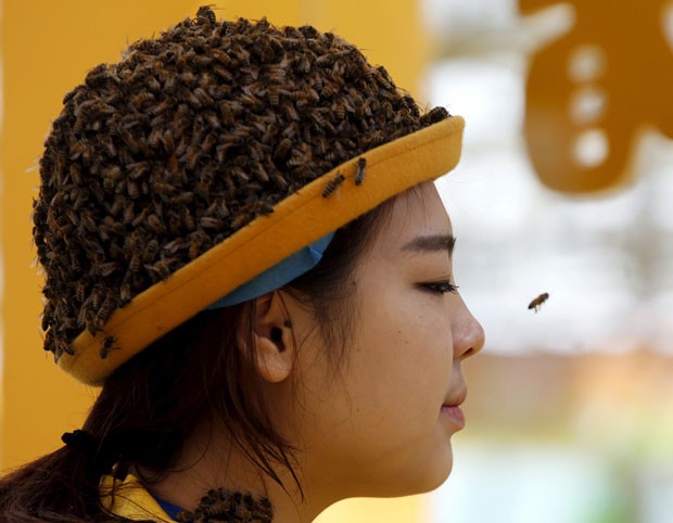 Artista usou chapu coberto de abelhas em exposio sobre apicultura (Foto: Kim Kyung-hoon/Reuters)